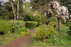 Napa Valley's Harvest Inn Gardens